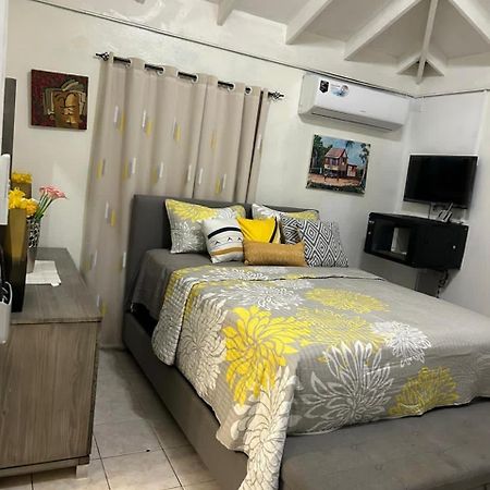 Beautiful Vacation Home Ocho Rios Luaran gambar